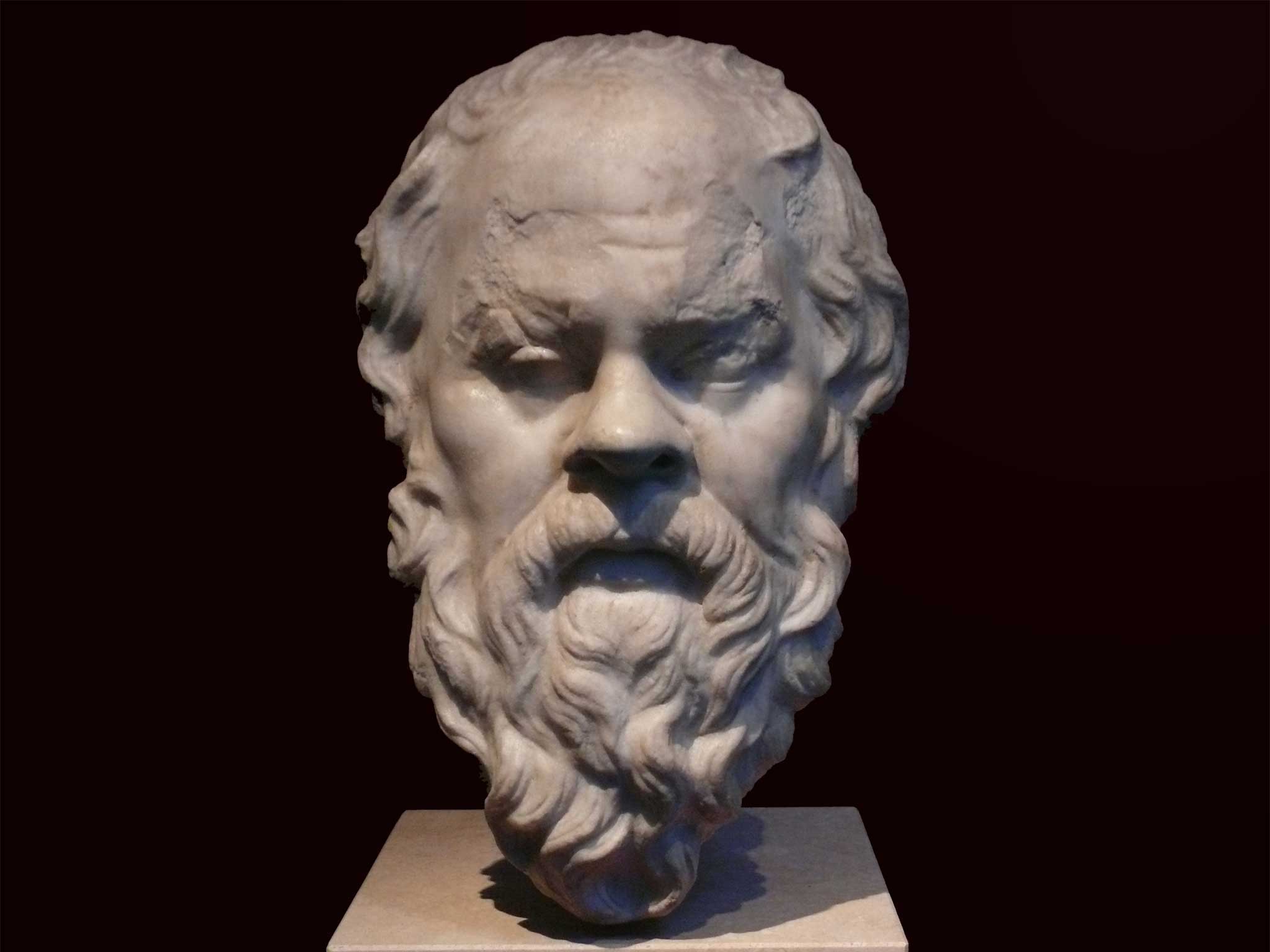 Socrates Filsuf Yunani yang Dihukum Mati dengan Meminum Racun Ramuan Hemlock credit John